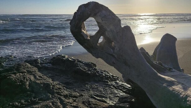 Une formation rocheuse naturelle présentant une arche d’une forme unique, située sur une plage.