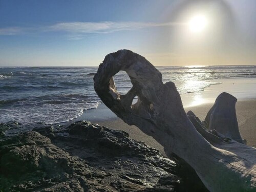 Hotel Hibiscus Playa Junquillal