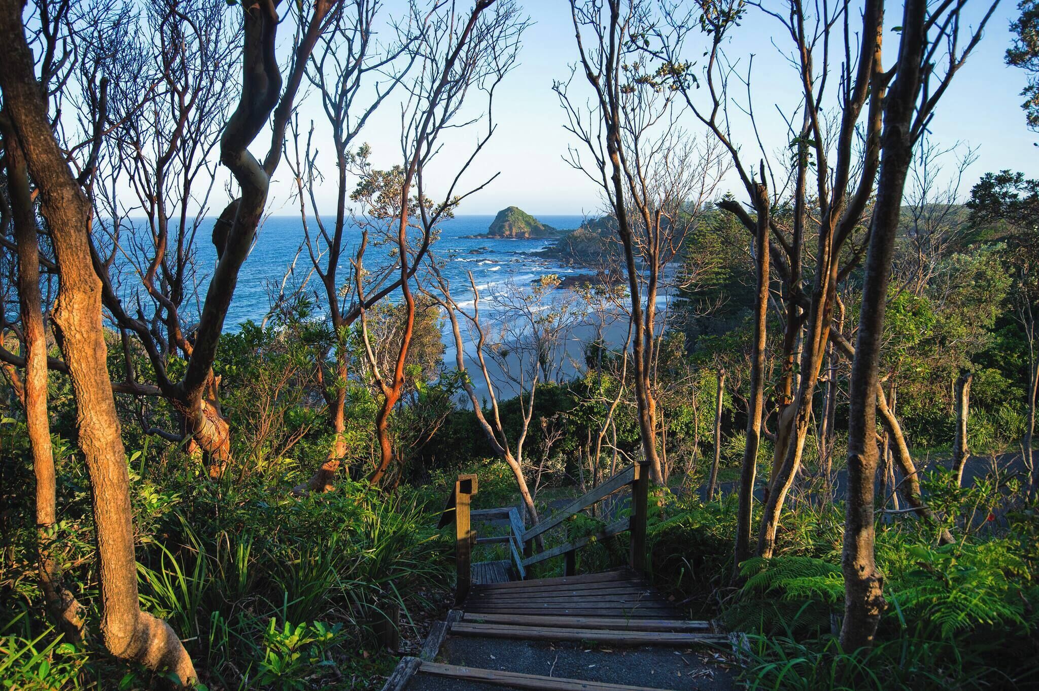 Una escalera de madera que conduce a la costa, con vistas al mar y una pequeña isla.