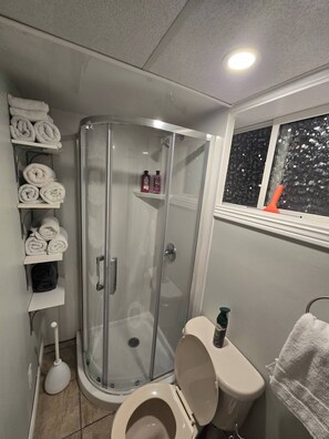 Regadera y secadora de cabello 