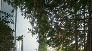 Eine Holzterrasse mit einem gepflasterten Weg, der zu einer überdachten Sitzgruppe mit Stühlen und einem Tisch führt.