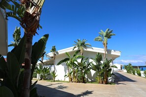 المنطقة المحيطة بالمنشأة