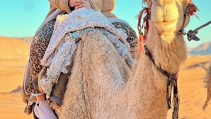 A person riding a camel in a desert setting. - Wadi Rum Main Road Visitor Center (Wadi Rum Village)