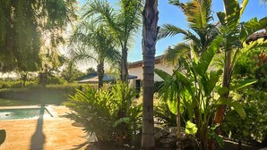 A pool area with a wooden deck, surrounded by tropical plants and a palm tree. - Très beau gîte piscine - spa (Solliès-Pont)