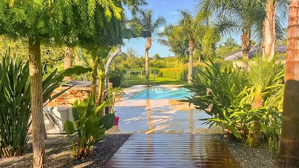 A swimming pool surrounded by tropical plants and a wooden deck. - Très beau gîte piscine - spa (Solliès-Pont)