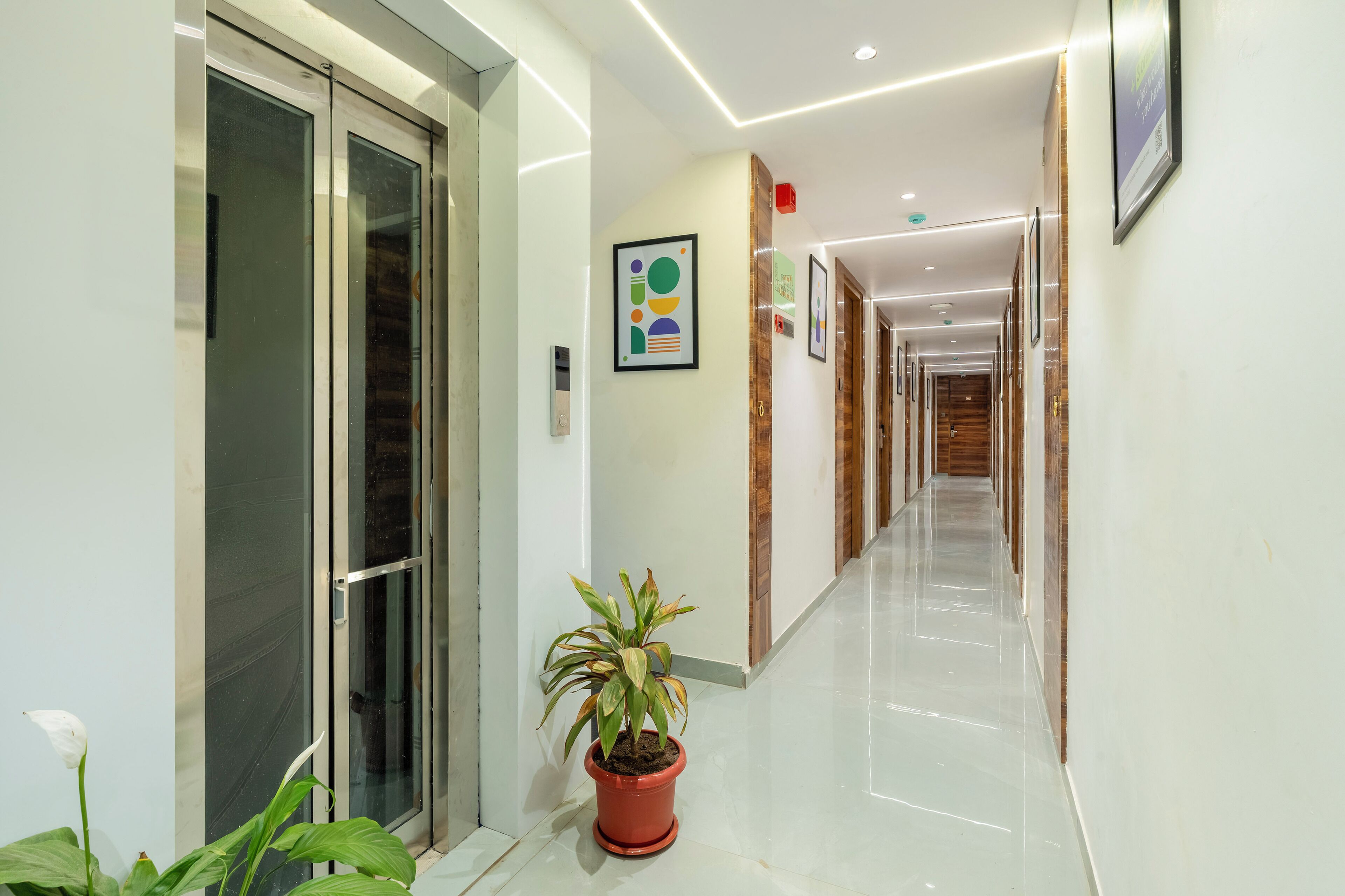 A modern hotel corridor with glass doors, a potted plant, and framed artwork on the walls.