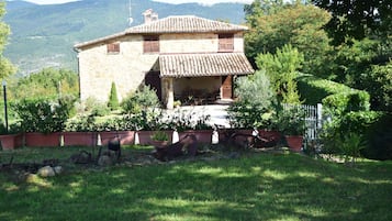 Esterni