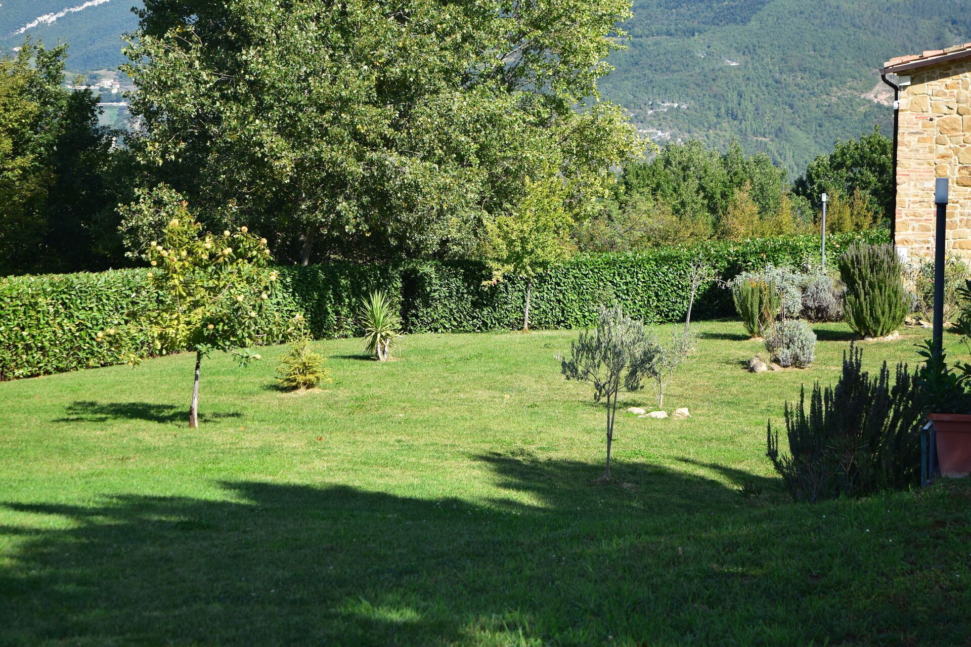 Parco della struttura