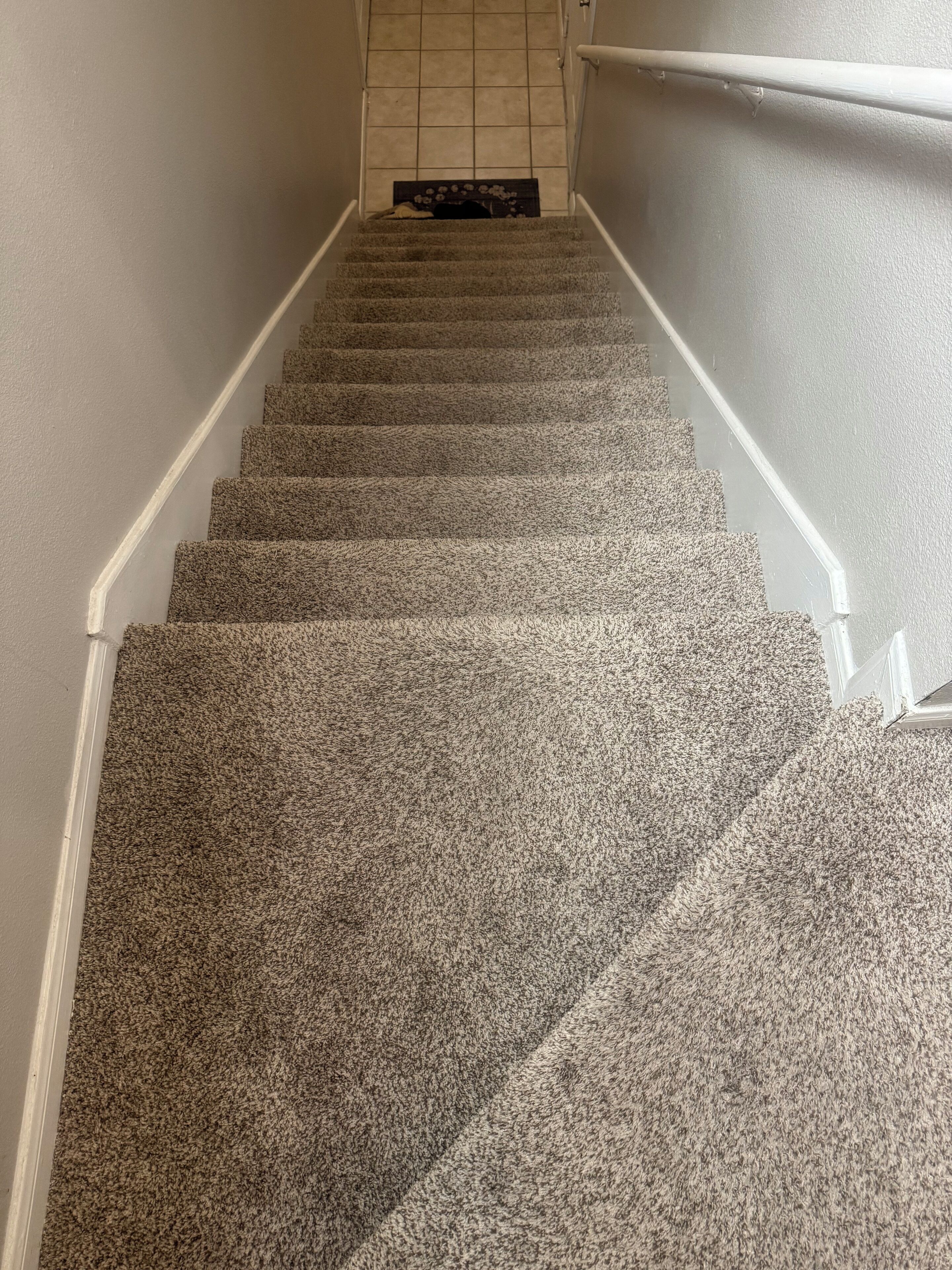 Un escalier recouvert de moquette, doté d’une main courante des deux côtés, menant à un palier carrelé.
