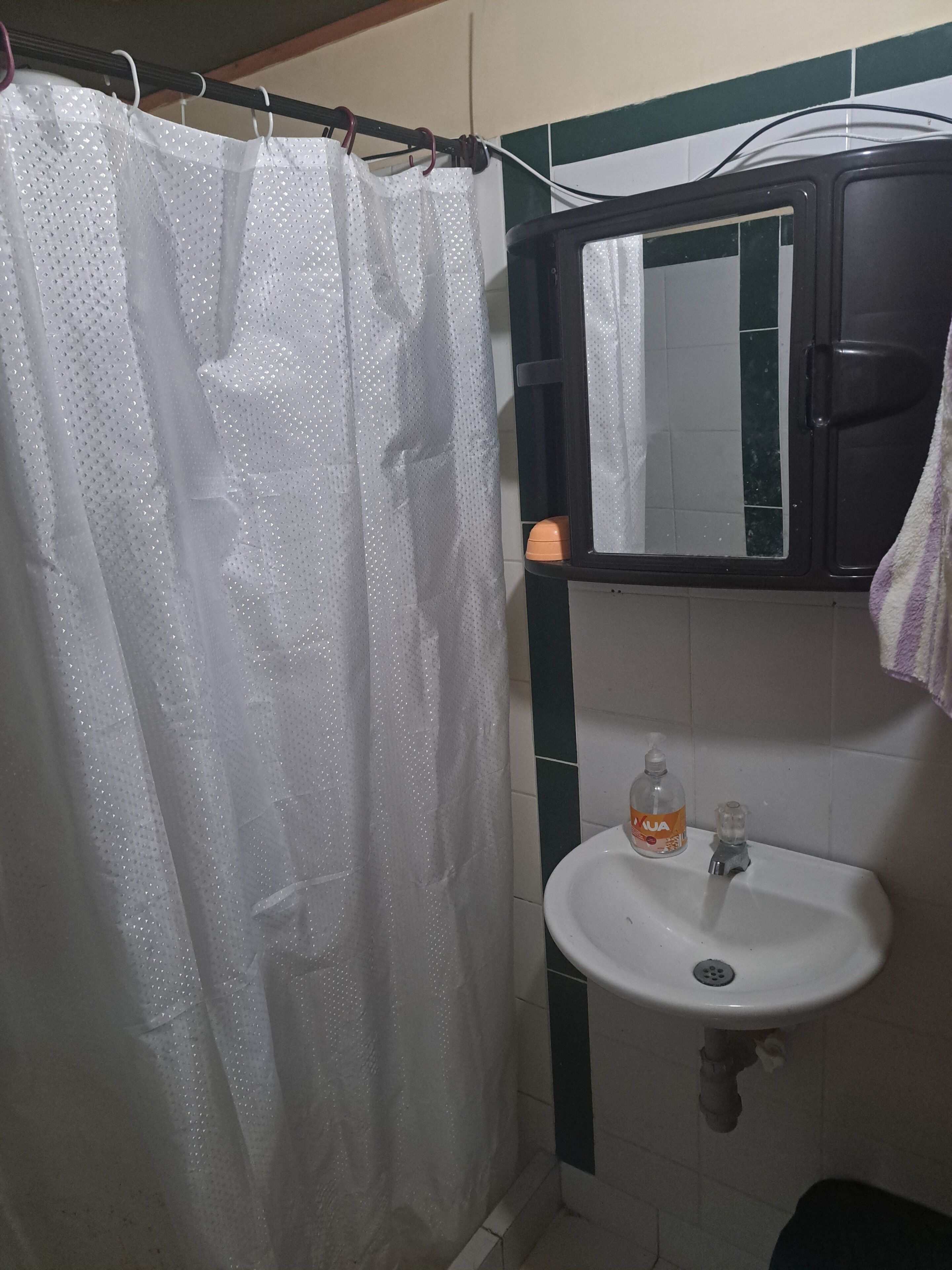 Shower, towels, soap, toilet paper
