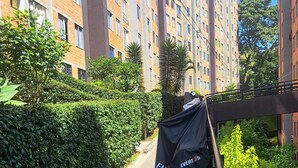 Ein schmaler Weg, gesäumt von dichten, grünen Hecken und einem hohen Gebäude mit vielen Fenstern.