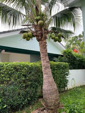 Property grounds - Villa in private, secure residence (Hin Lek Fai)