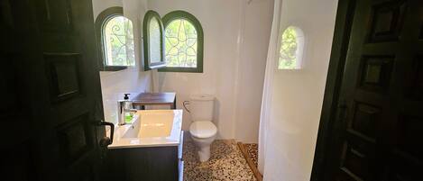 A bathroom with a sink, toilet, and two windows with decorative frames.