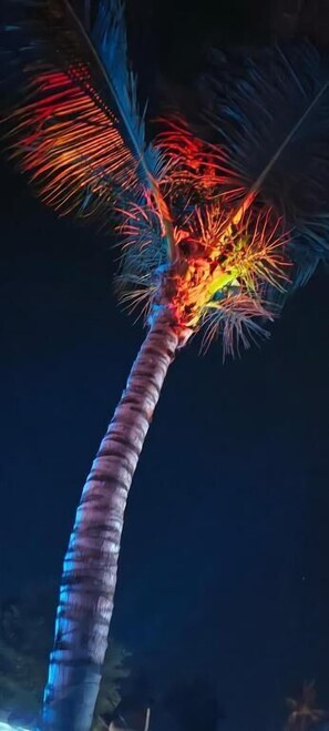 Miscellaneous - AkarAir (Gili Air)