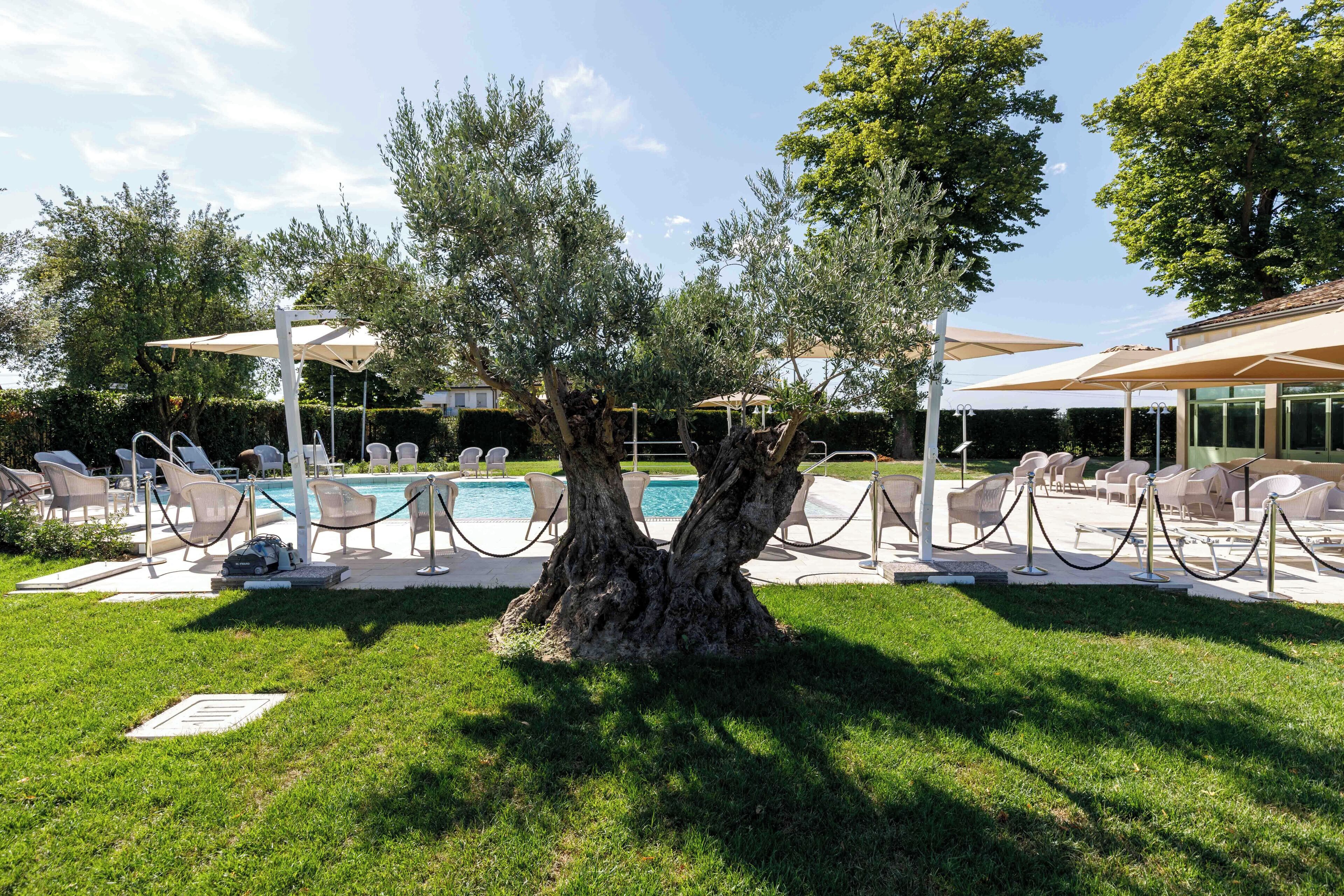 Seasonal outdoor pool, open 8:00 AM to 7:00 PM, pool umbrellas