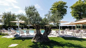 Area piscina con lettini, ombrelloni e un albero al centro.