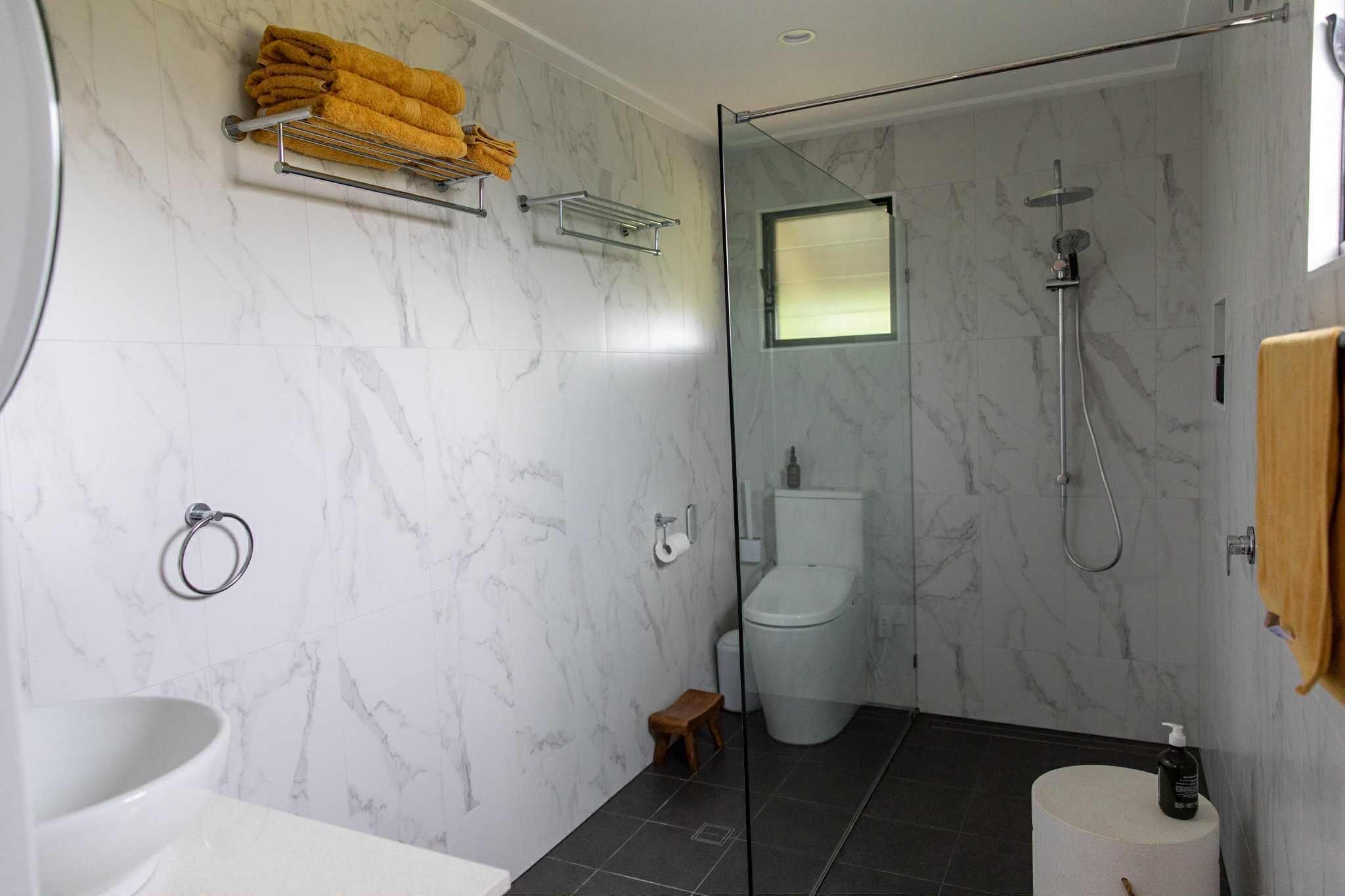 Hair dryer, bidet, towels, soap