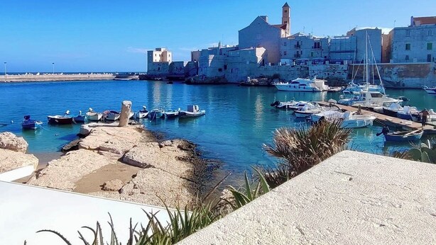 Un pueblo costero con edificios históricos, un puerto deportivo con barcos y un cielo azul despejado.