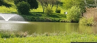 Alpine mountain skiing