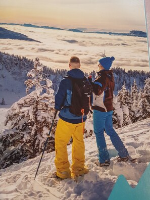 Snow and ski sports - Alpine mountain skiing (st pierre d'allevard)