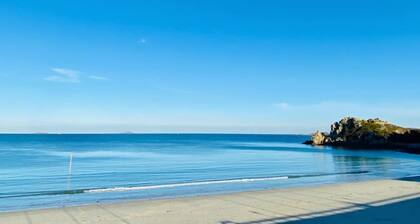 Les Studios de la Côte Roz - Vue Mer - Rivage