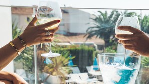 Deux personnes trinquent avec des verres de vin blanc à une table d’où l’on aperçoit un jardin et un espace aménagé pour s’asseoir à l’extérieur.