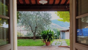 A stone-paved patio with a potted plant and a small shed in the background. - Beautiful private villa for 10 guests with private pool, WIFI, TV, balcony and pets allowed (Capannori)