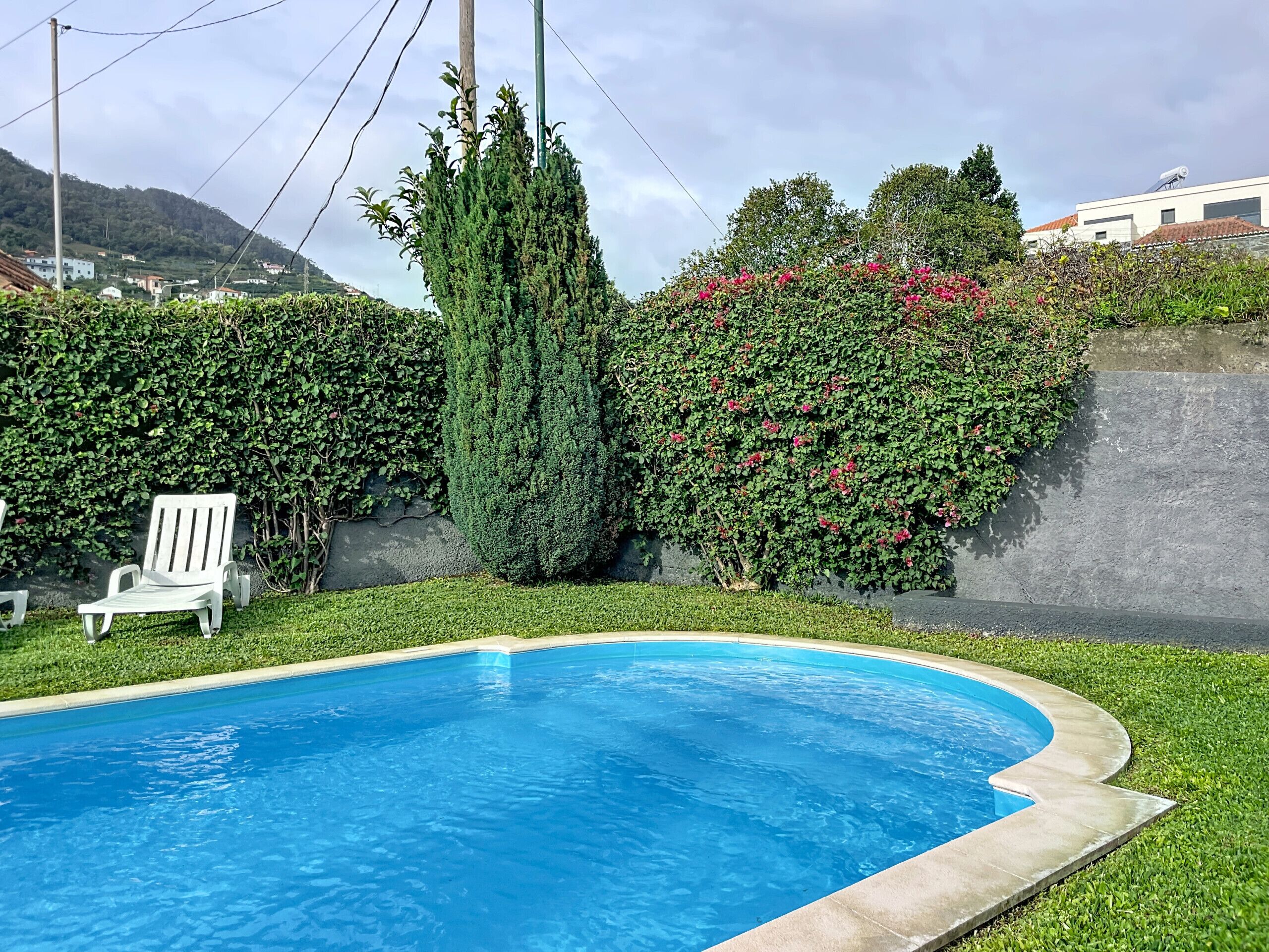 A swimming pool with a curved edge, surrounded by well-maintained grass and hedges.