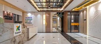 ทรีโบ เกรซ สเตย์  