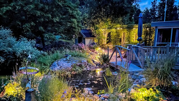 Een goed verlichte tuin met een vijver, rotsen en diverse planten.