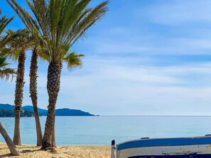 Una playa con palmeras y un bote llamado "LE LAVANDE" en la arena.
