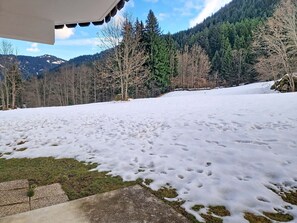 Property grounds - Family apartment near lifts, parking, south terrace (Châtel)