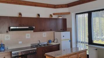 Căn hộ phong cách cổ điển, 2 phòng ngủ, được phép mang theo vật nuôi, quang cảnh núi | Bếp riêng