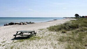 Una playa arenosa con una mesa de picnic y una zona cubierta de césped.