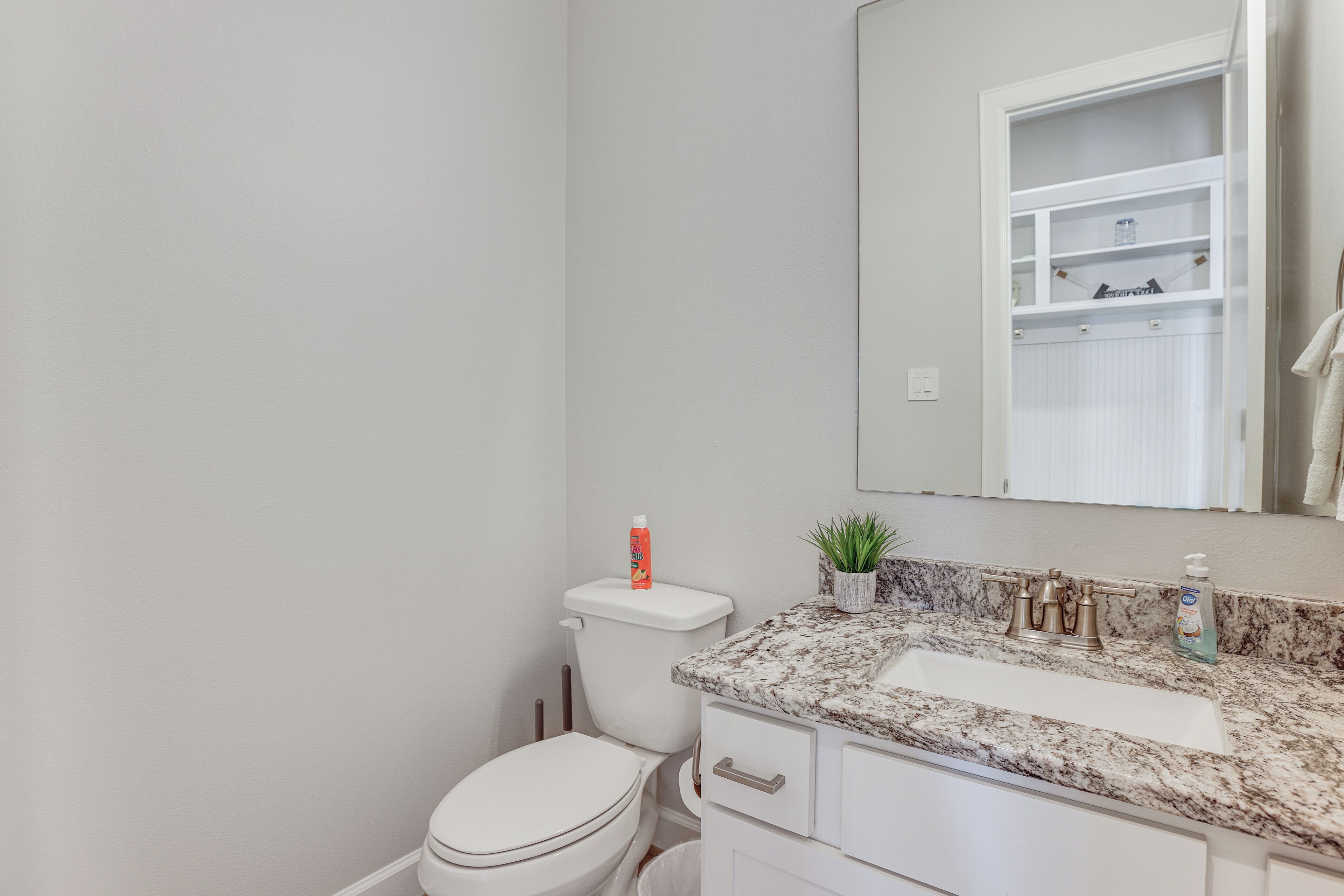 Een badkamer met een wit toilet, een marmeren wastafel, een spiegel en een kleine potplant op het aanrecht.
