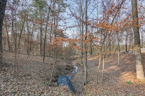 A forested area with a drainage pipe and a small stream. - Wooded Couple's Escape Near Trails & Lake Hawkins (Hawkins)