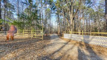 A dirt path leading through a forested area with a wooden fence and a white lattice fence on one side.
