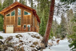 Front of property - Scenic Creekside Retreat! Rocky Mountain Cabin (Dumont)