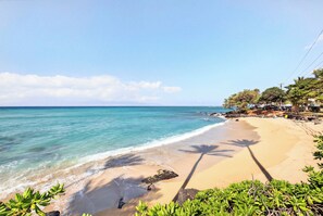 Beach nearby - Direct Oceanfront Bliss - Brand New Studio Arrival (Lahaina)