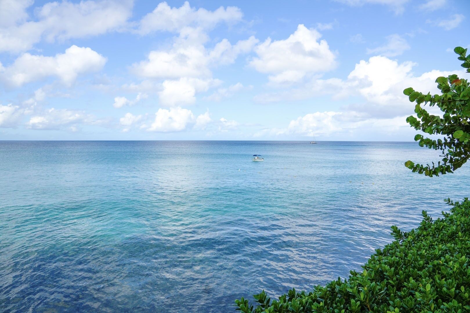 On peut admirer une vue dégagée sur l’océan, avec un bateau à l’horizon et une végétation luxuriante sur la côte.