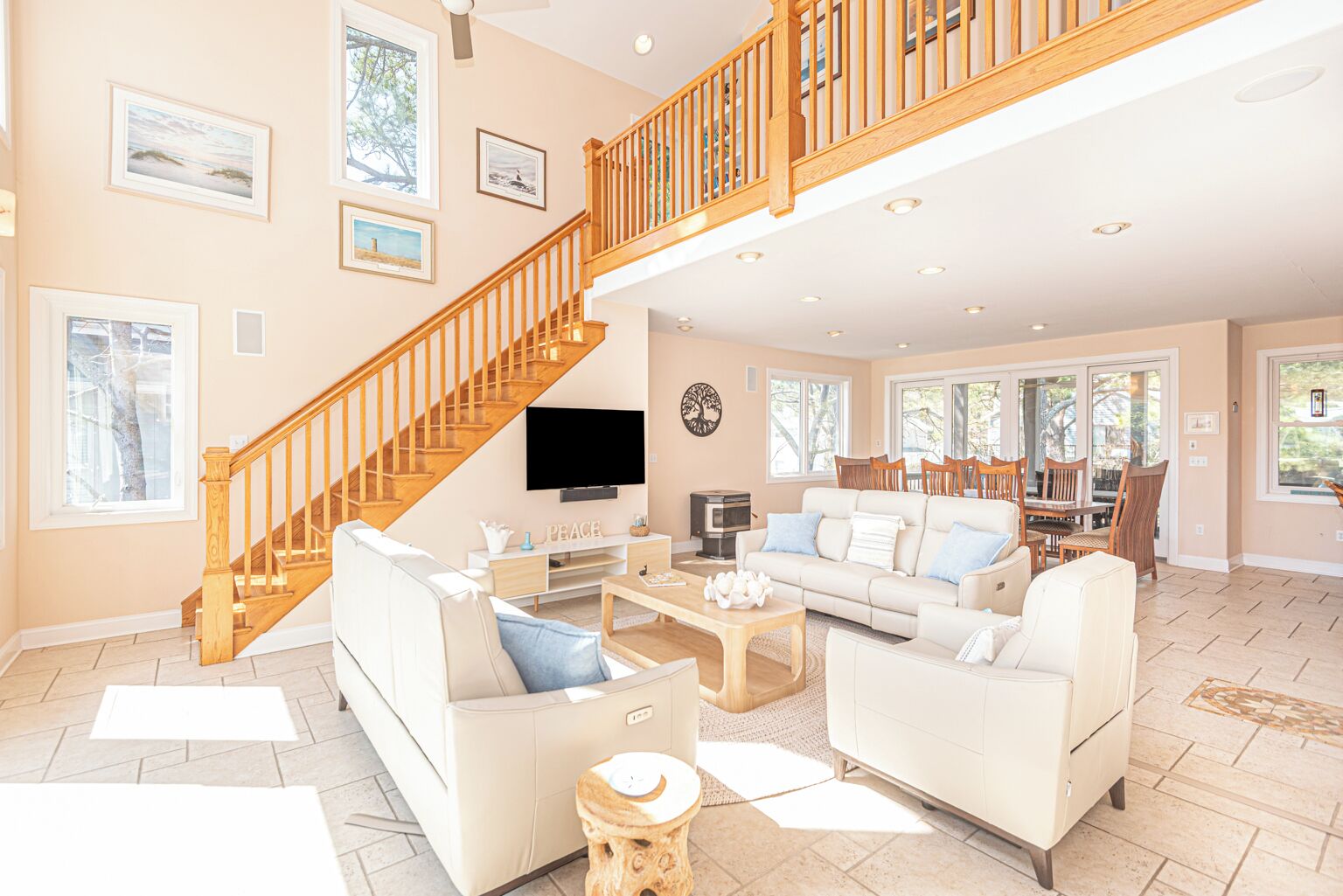 智能电视、壁炉、DVD 播放器、书