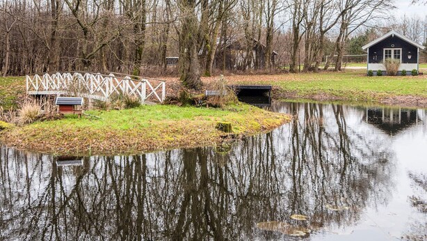 A tranquil lakeside scene with a wooden bridge, a small house, and leaf-covered ground. - 5 Star Holiday Home in Ansager (Ansager)