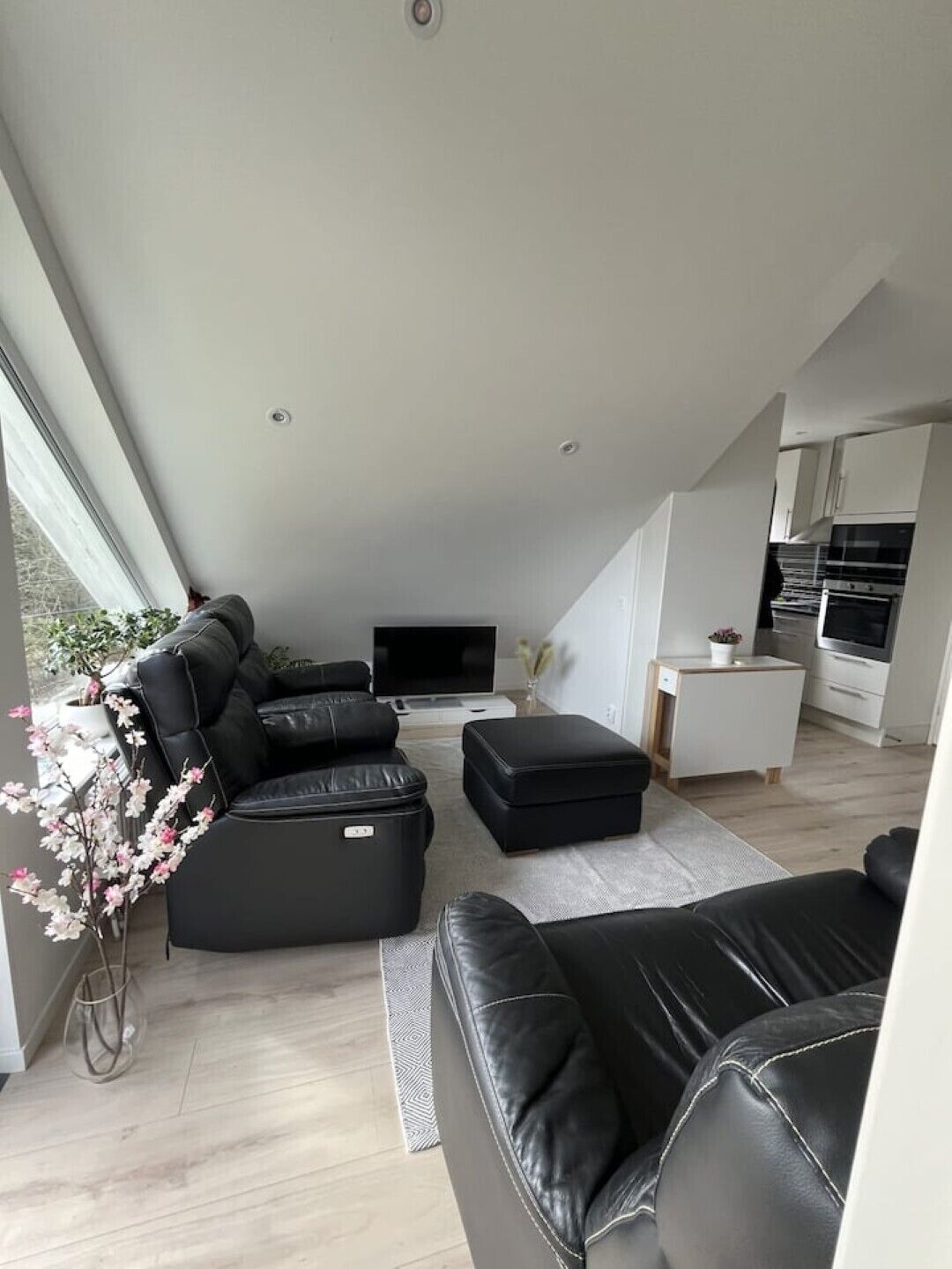 リビング エリア