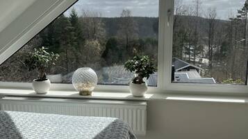 Iron/ironing board, internet, bed sheets