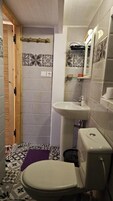 Un bagno piccolo ma funzionale, con WC, lavabo e doccia.