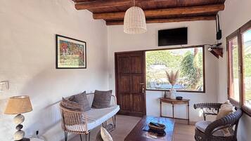 Televisión y chimenea