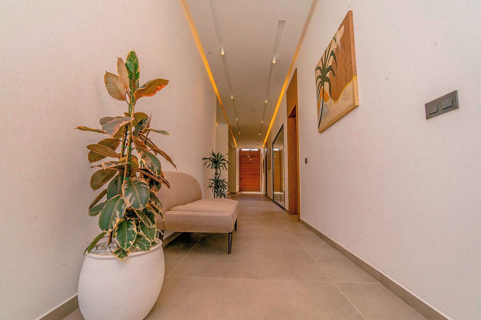 Un pasillo con una planta en maceta, un sofá y un cuadro en la pared.