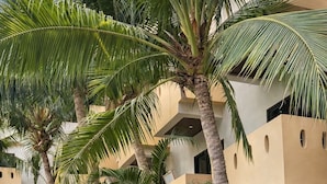 A courtyard with palm trees, outdoor seating, and a building with balconies. - Akira Resort (Pattaya)