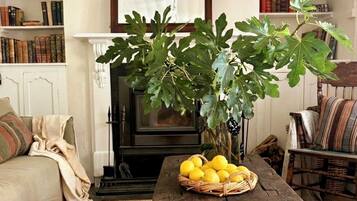 Smart-TV, Kamin, Bücher, Stereoanlage