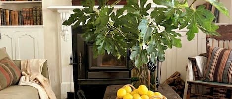 Smart TV, fireplace, books, stereo